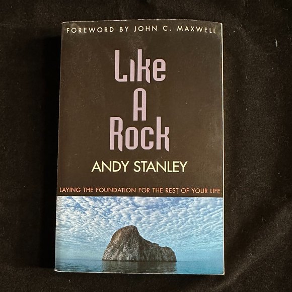Andy Stanley LIKE A ROCK, Dan Schaeffer DEFINING MOMENTS - 2 book bundle - Picture 2 of 5
